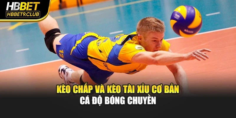 Kèo chấp và kèo tài xỉu cơ bản cá độ bóng chuyền