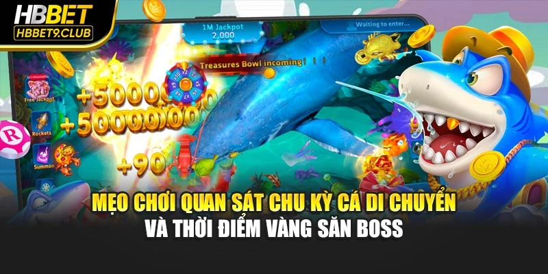 Mẹo chơi quan sát chu kỳ cá di chuyển và thời điểm vàng săn boss