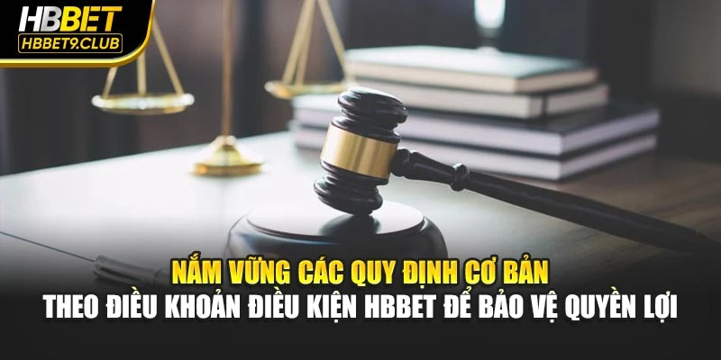 Nắm vững các quy định cơ bản theo điều khoản điều kiện HBBET để bảo vệ quyền lợi
