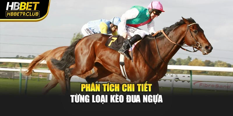 Phân tích chi tiết từng loại kèo đua ngựa